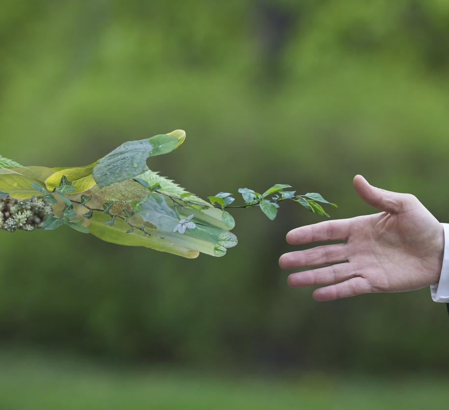 Nature and business